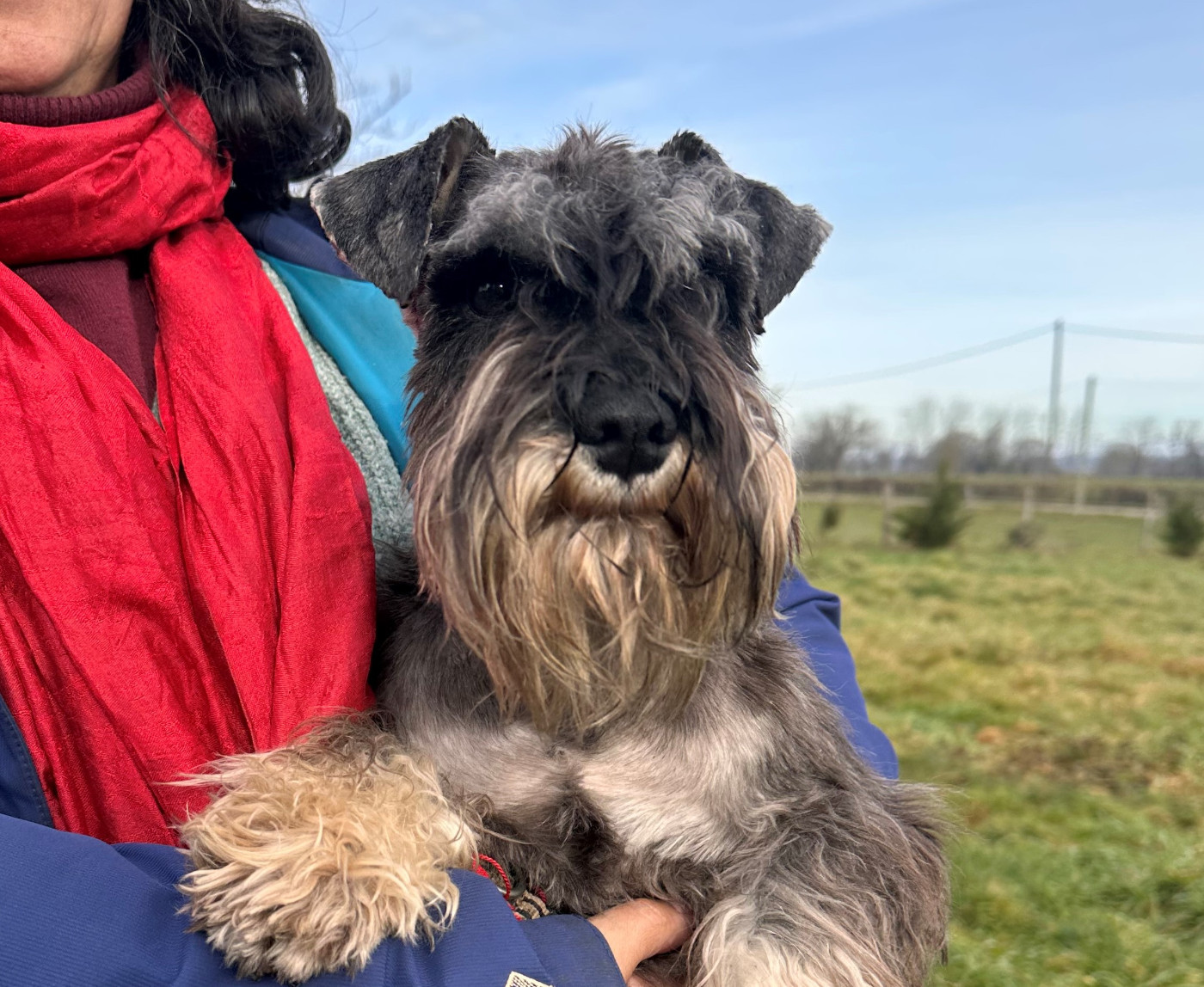 Vikings (Vuitton) de la Vallee de Buire