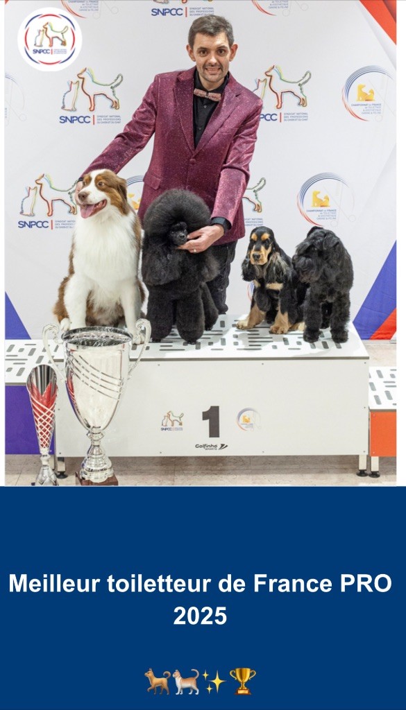 Panzer de Tierra Lemi 